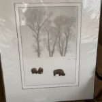 #120 SOLD John Gill's Photography  Bison in the Snow  $35.00