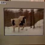 #137  John Gill Photography Through the Snow  $35.00
